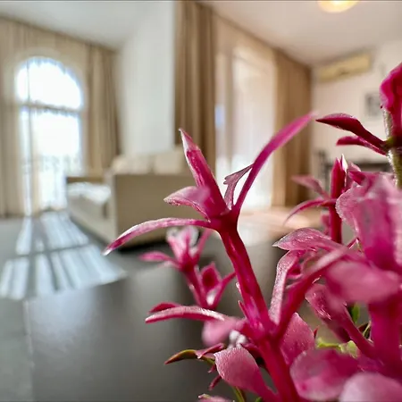 Apartmán Menada In Marina Cape *