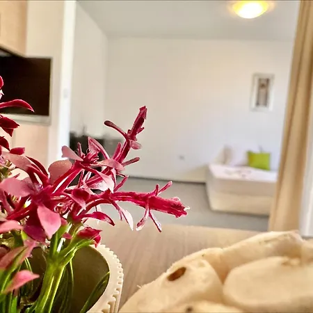 Apartmán Menada In Marina Cape Acheloj